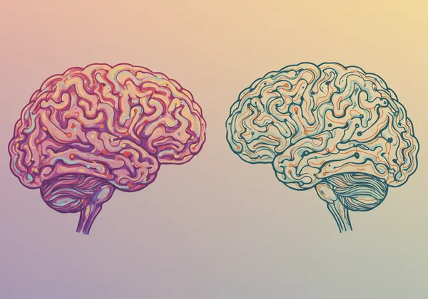 Neurodivergent and neurotypical brain concept art